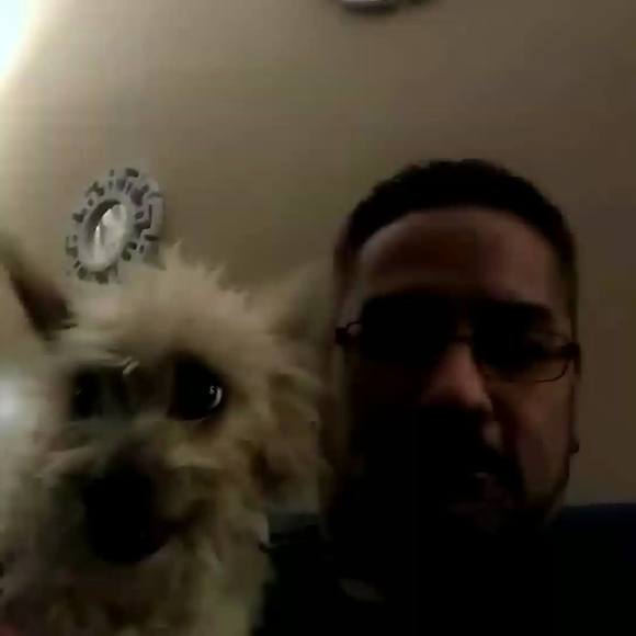 Meet your Posher, Randy - Picture 1 of 1